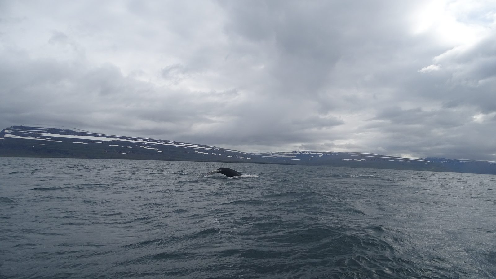 DSC02121.JPG
